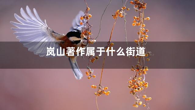 岚山著作属于什么街道