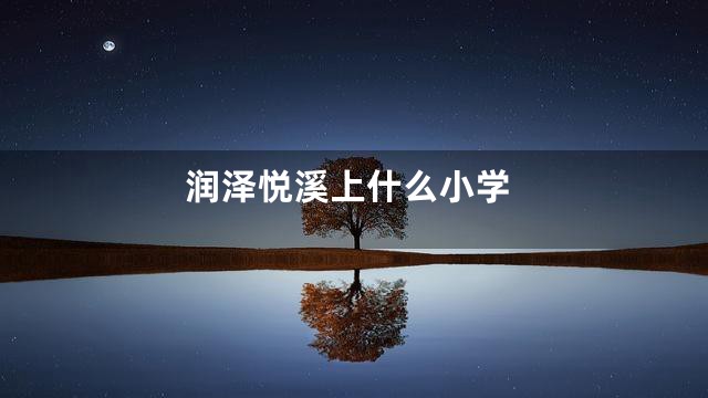 润泽悦溪上什么小学