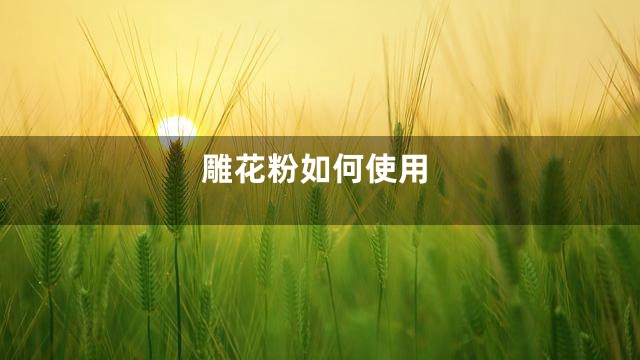 雕花粉如何使用