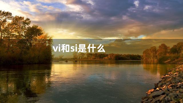 vi和si是什么