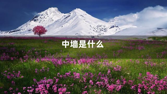 中墙是什么