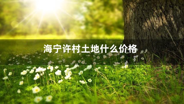 海宁许村土地什么价格