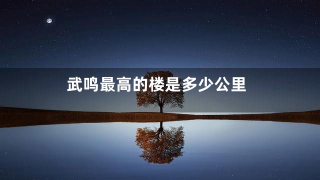武鸣最高的楼是多少公里