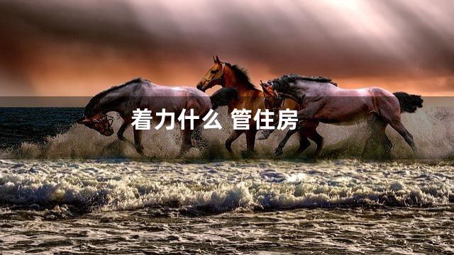 着力什么 管住房