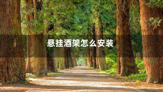 悬挂酒架怎么安装