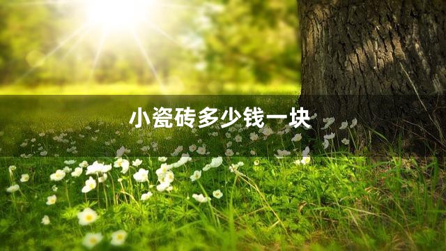 小瓷砖多少钱一块