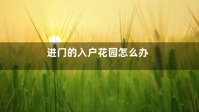 进门的入户花园怎么办