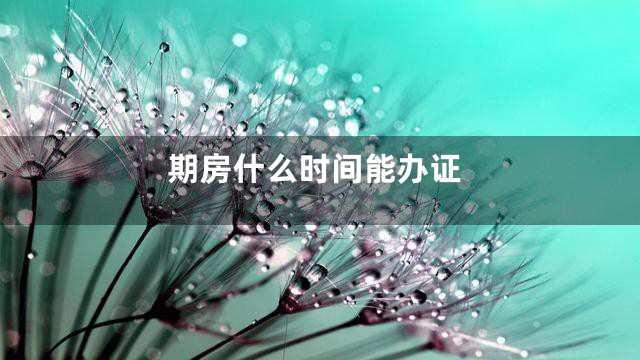 期房什么时间能办证