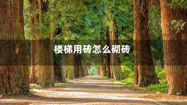 楼梯用砖怎么砌砖