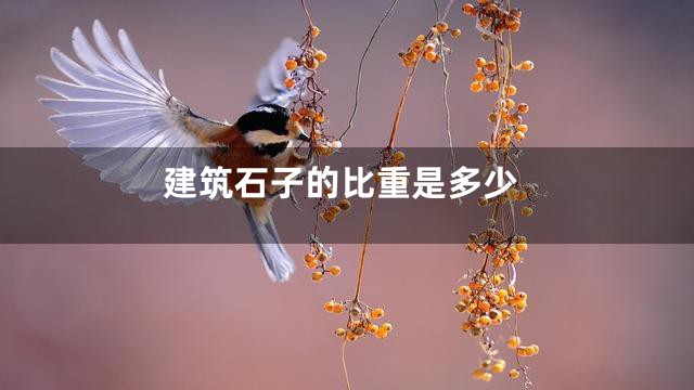 建筑石子的比重是多少