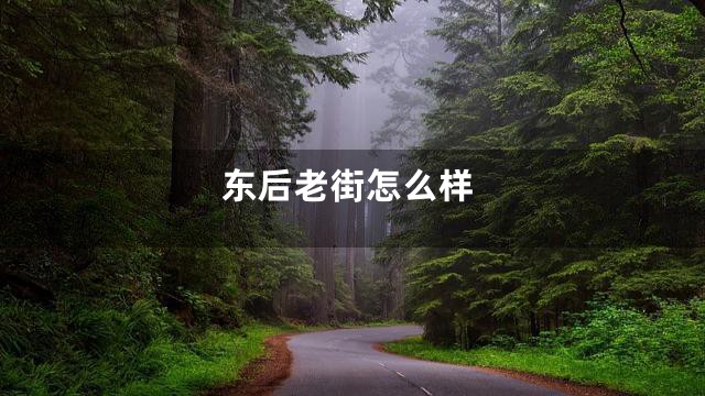 东后老街怎么样