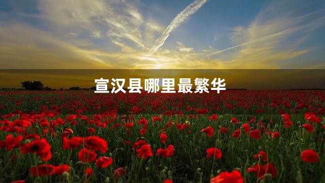 宣汉县哪里最繁华