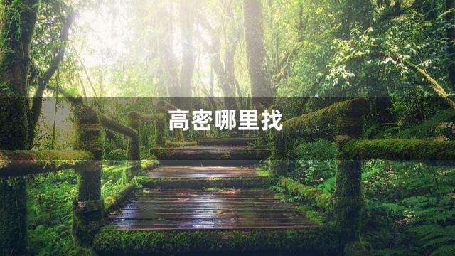 高密哪里找