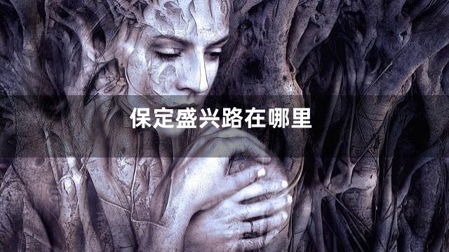 保定盛兴路在哪里