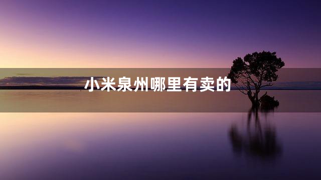 小米泉州哪里有卖的