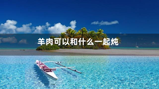 羊肉可以和什么一起炖