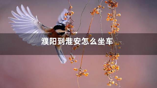 濮阳到淮安怎么坐车