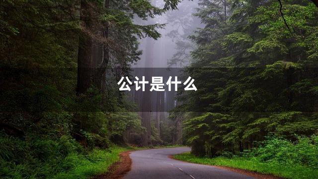公计是什么