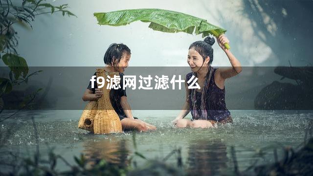 f9滤网过滤什么