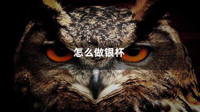怎么做银杯