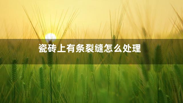 瓷砖上有条裂缝怎么处理