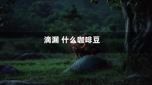 滴漏 什么咖啡豆