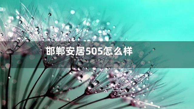 邯郸安居505怎么样