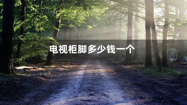 电视柜脚多少钱一个