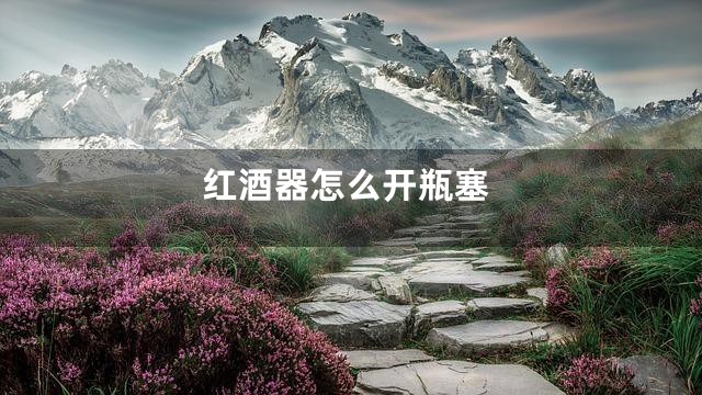 红酒器怎么开瓶塞