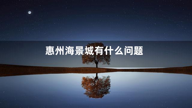惠州海景城有什么问题