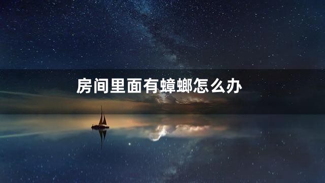 房间里面有蟑螂怎么办