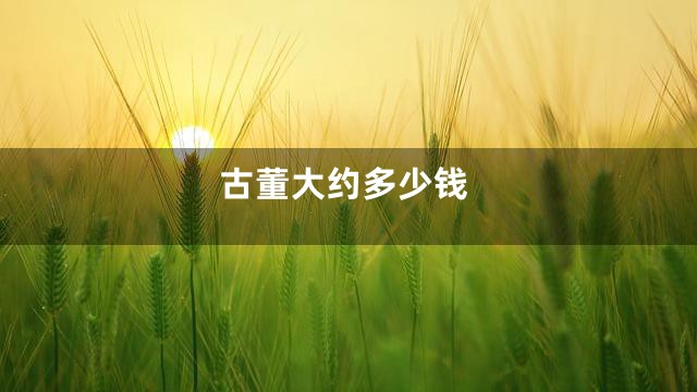 古董大约多少钱