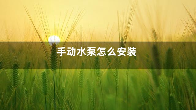 手动水泵怎么安装