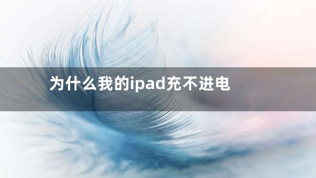 为什么我的ipad充不进电