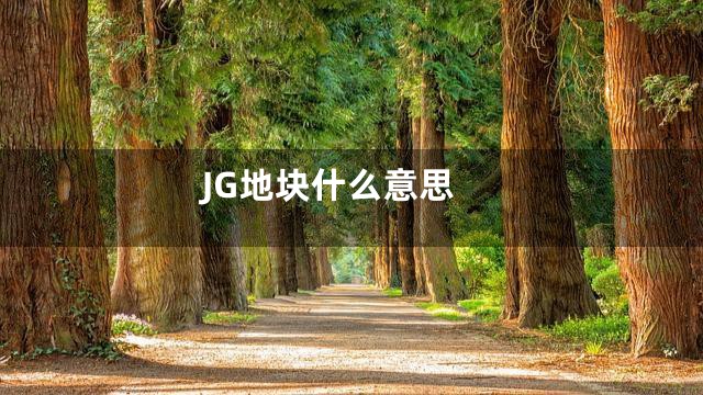 JG地块什么意思