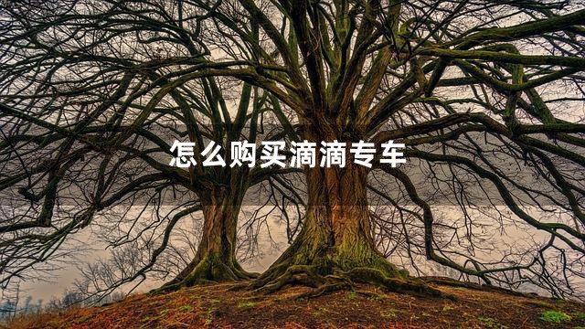 怎么购买滴滴专车