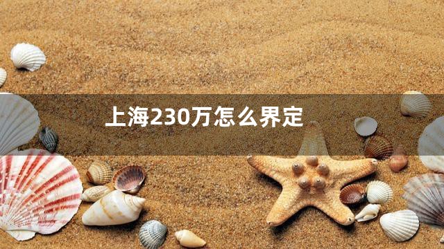 上海230万怎么界定
