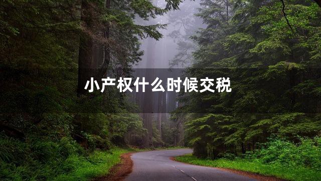 小产权什么时候交税