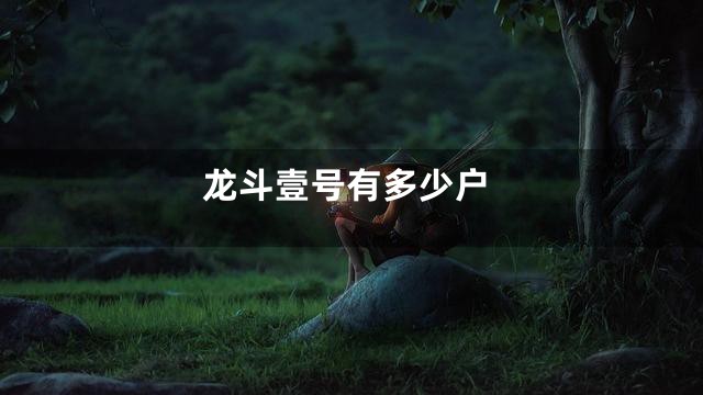龙斗壹号有多少户