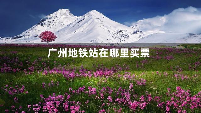 广州地铁站在哪里买票