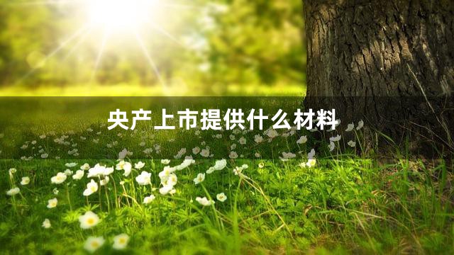 央产上市提供什么材料