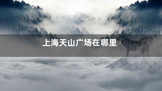 上海天山广场在哪里