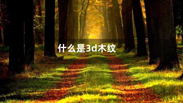 什么是3d木纹