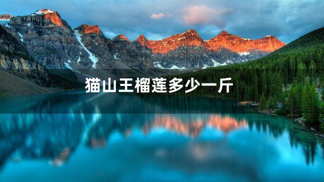 猫山王榴莲多少一斤