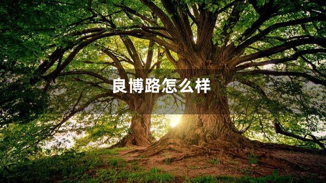 良博路怎么样