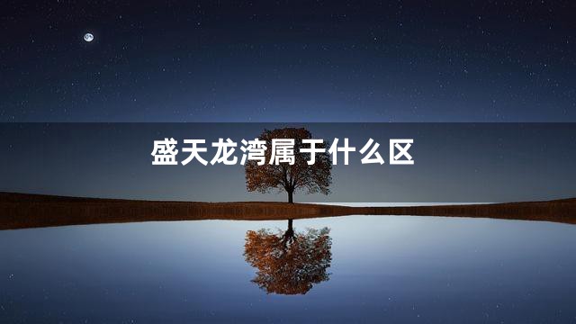 盛天龙湾属于什么区