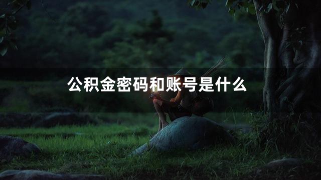 公积金密码和账号是什么