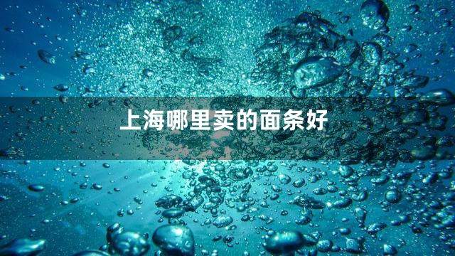 上海哪里卖的面条好