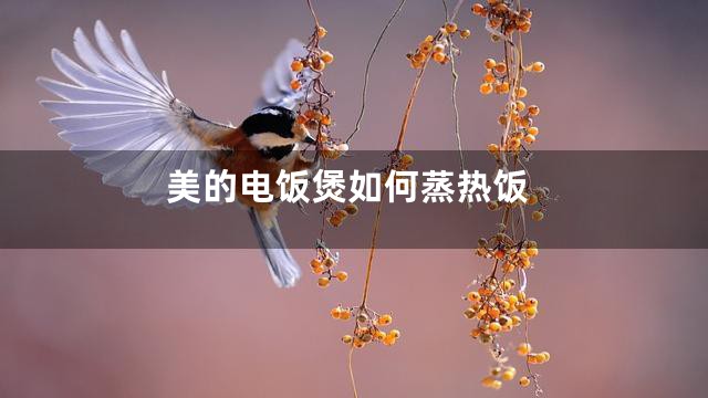 美的电饭煲如何蒸热饭