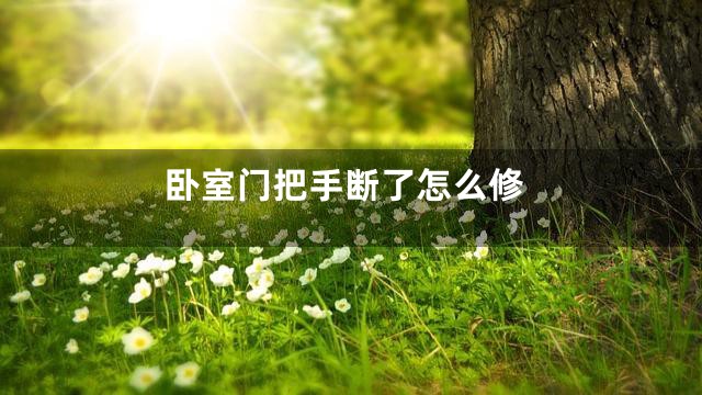 卧室门把手断了怎么修